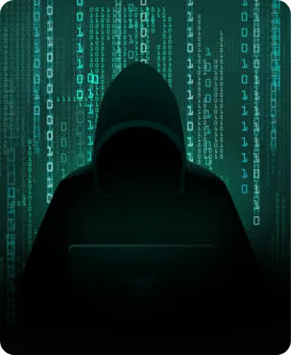 Cyber Crime